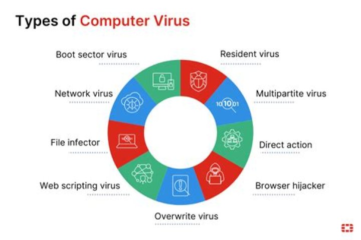What are the 5 types of viruses?