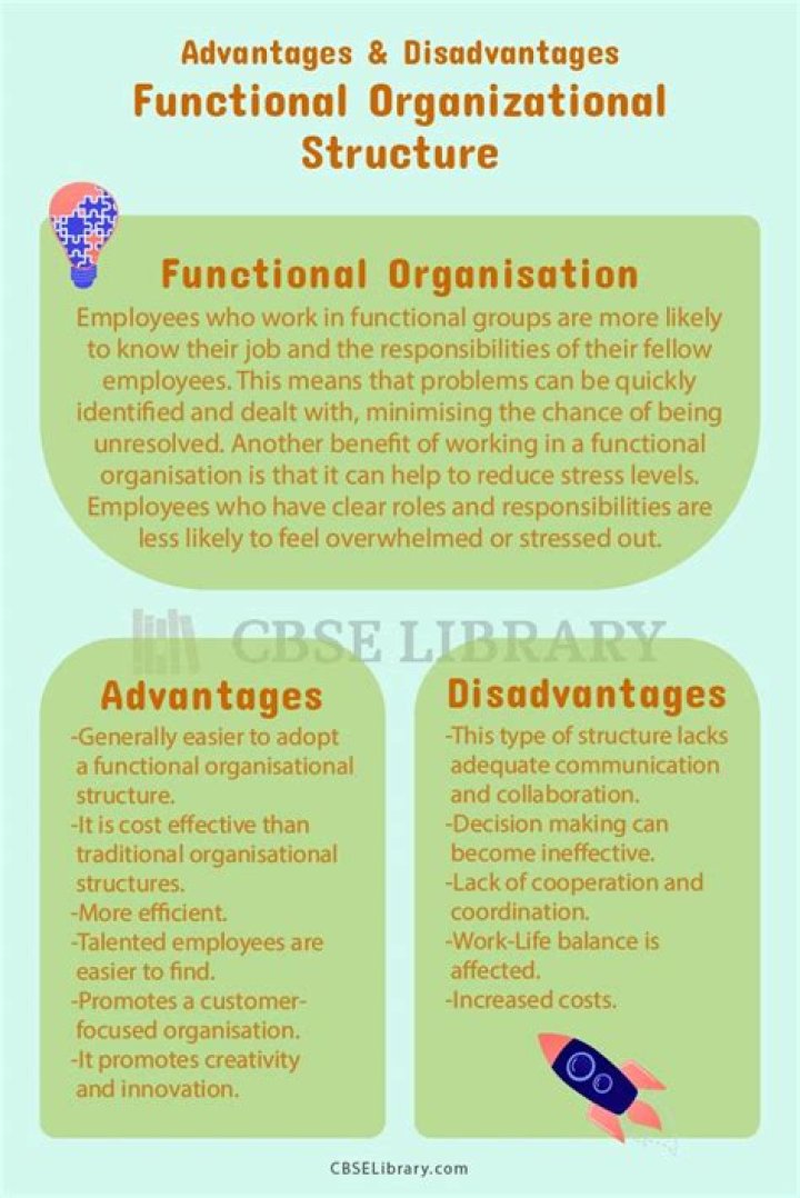 What are the advantages and disadvantages of functional organizational structures?