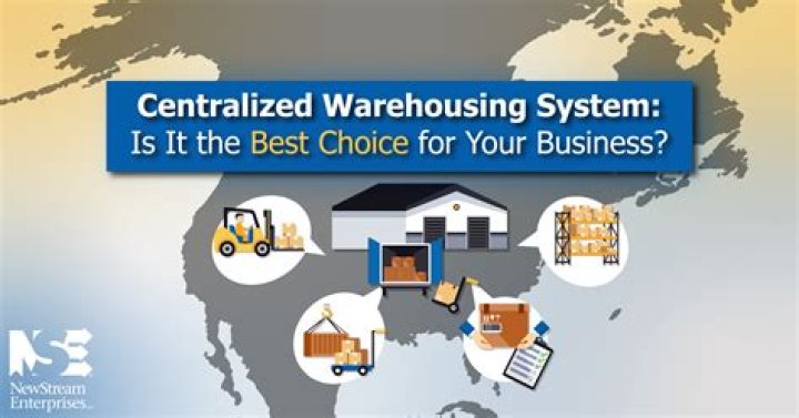 What are the advantages and disadvantages of having a centralized warehousing system?