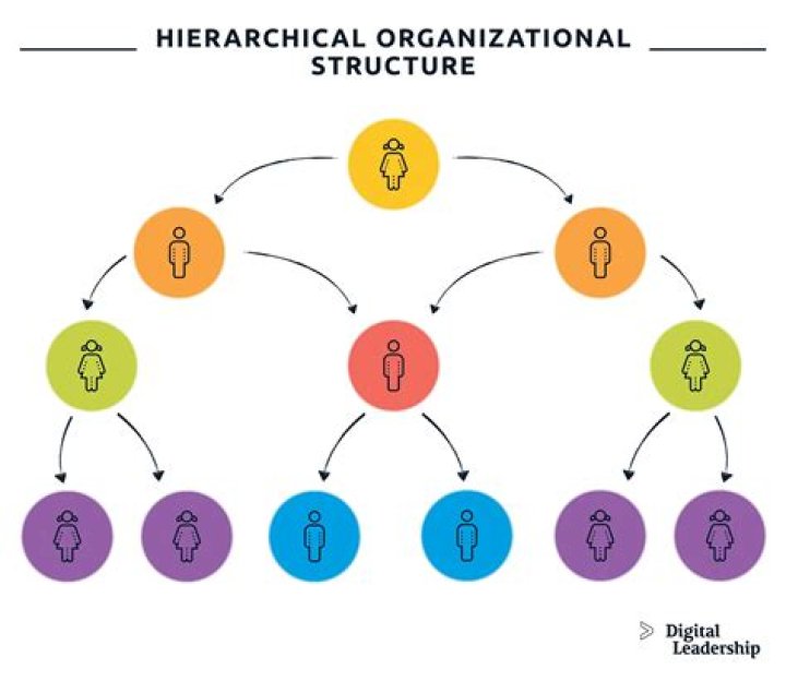 What are the advantages of having a hierarchical Organisational structure?