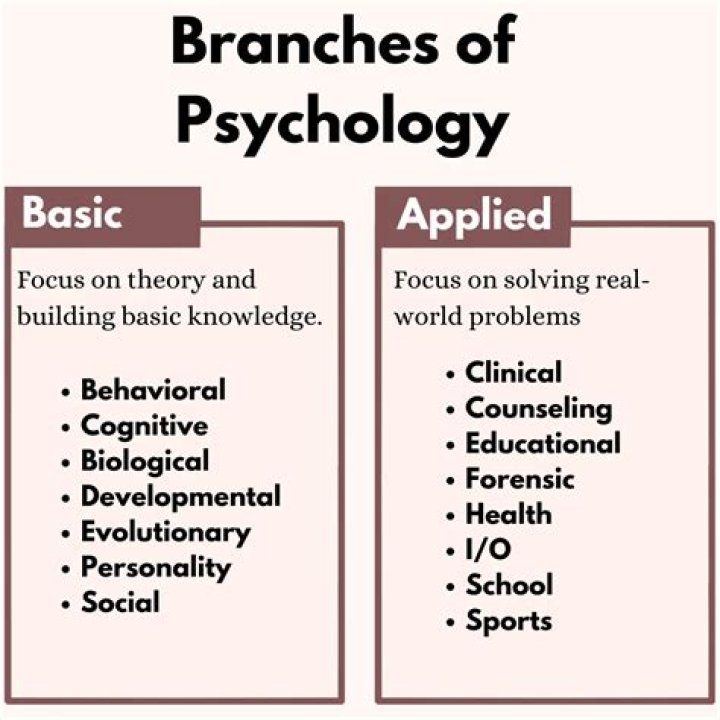 What are the branches of I-O psychology?