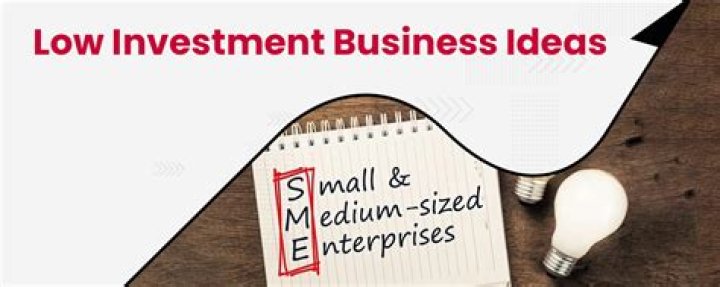 What are the business ideas with low investment?