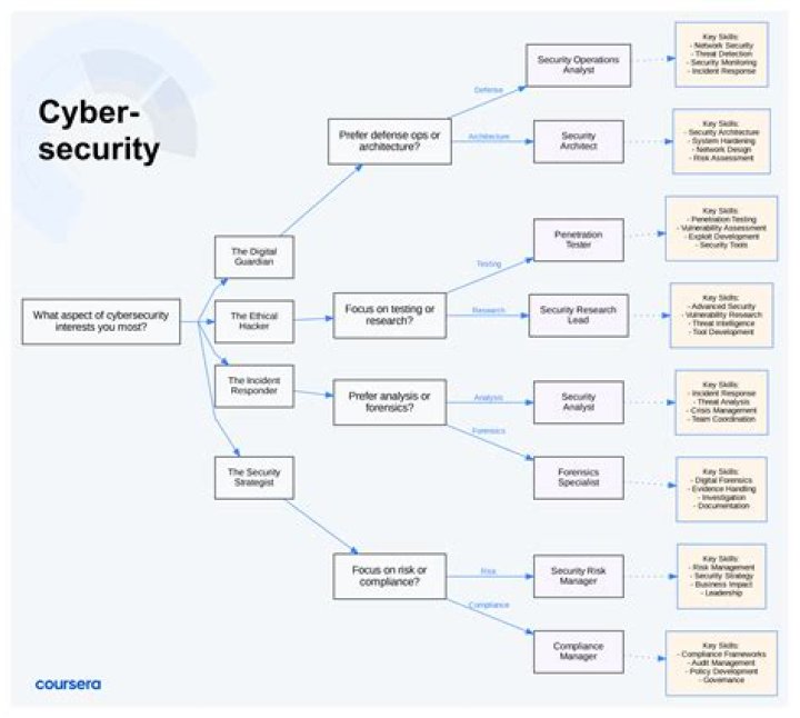 What are the career options in cybersecurity?