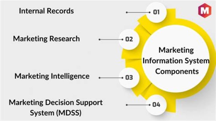 What are the components of MIS in marketing?