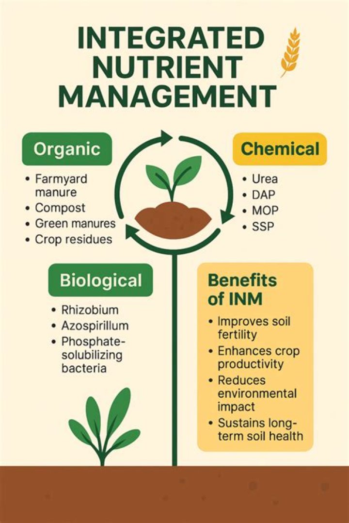 What are the concept of integrated nutrient management?