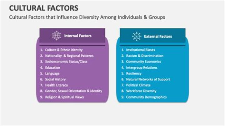 What are the cultural factors in business?