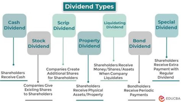 What are the different forms of dividend distribution?