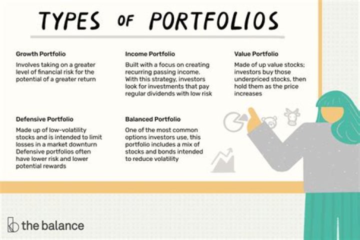 What are the different types of portfolios?