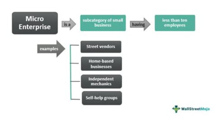 What are the examples of micro-enterprises?
