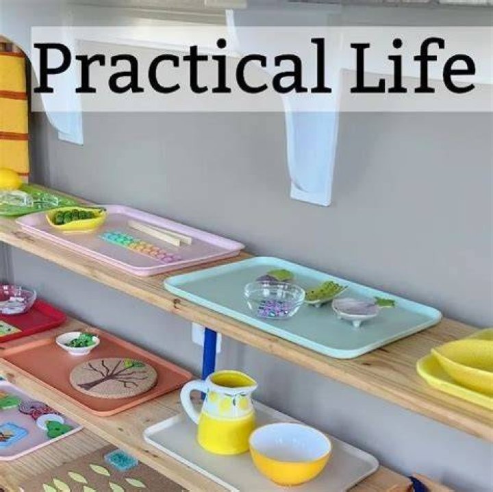 What are the exercises of practical life?