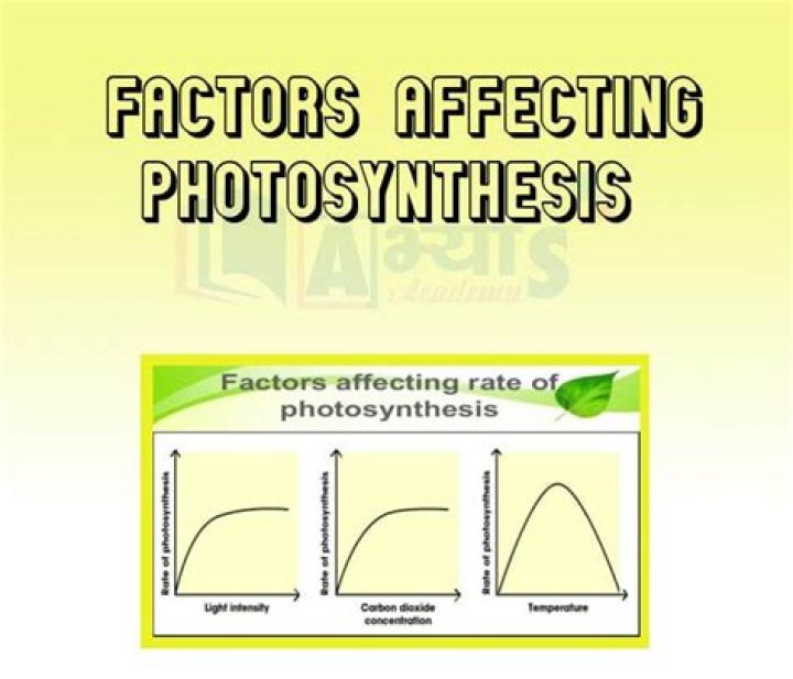 What are the factors that increase the rate?