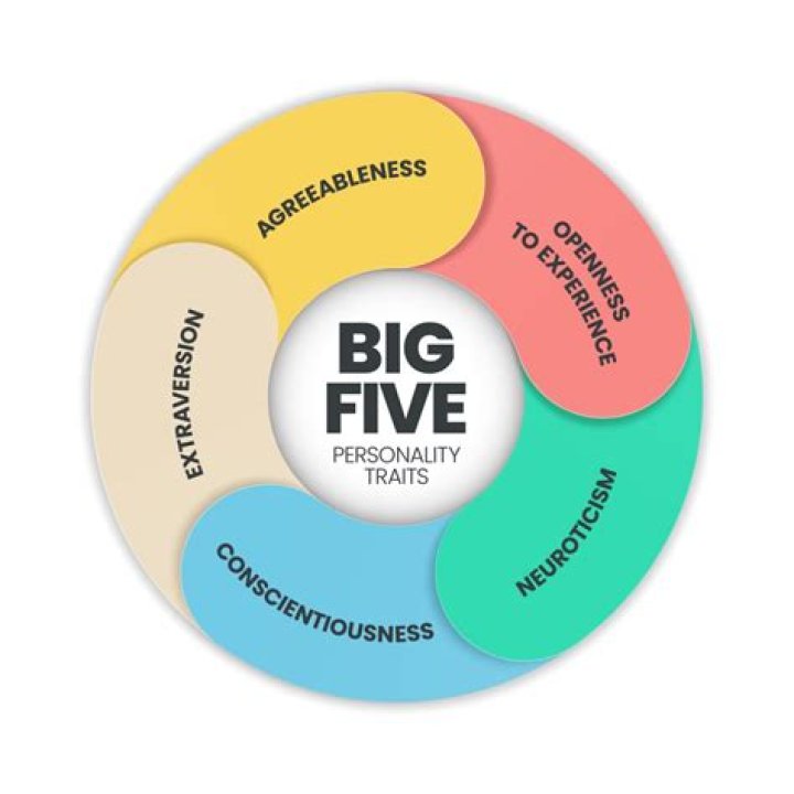 What are the five key resources of an Organisation?