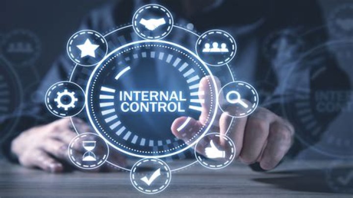 What are the four purposes of internal control?