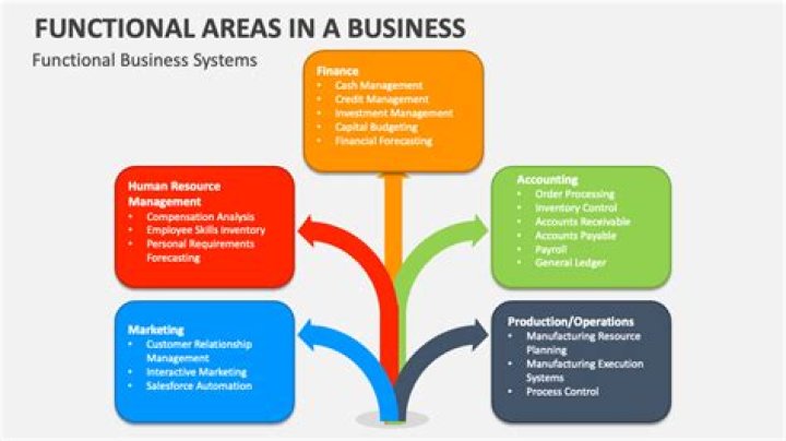 What are the functional areas of the business?