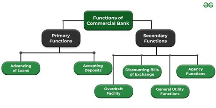 What are the functions of Micro Finance Bank?