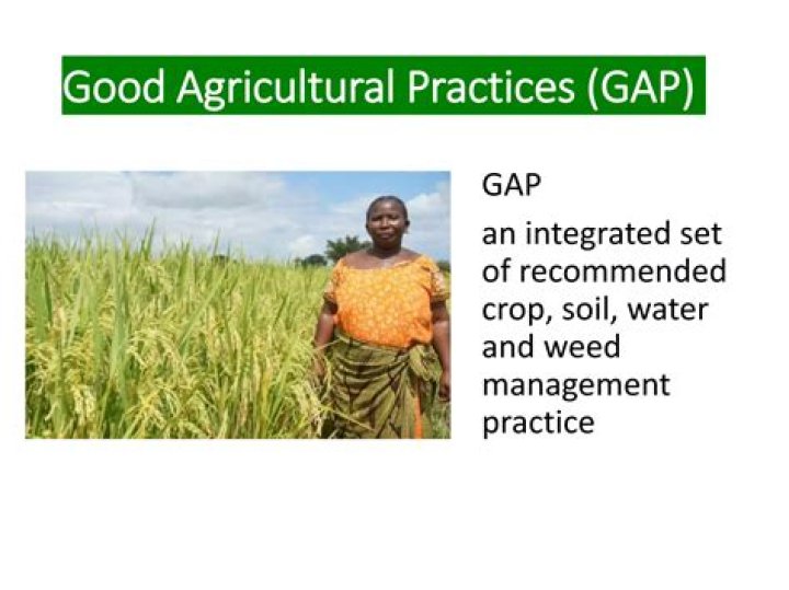 What are the importance of good agricultural practices?