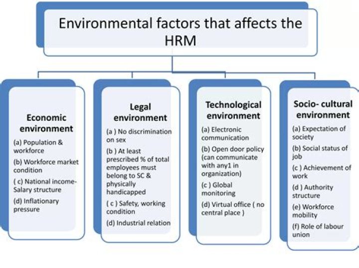 What are the internal environmental factors that affect human resource management?