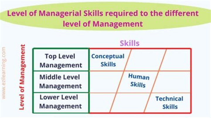 What are the levels of management and skills needed at each level?