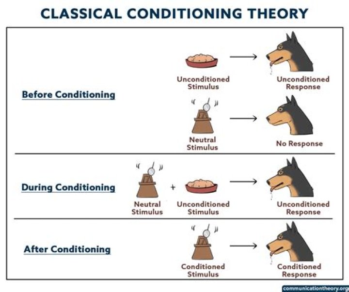 What are the limitations of classical conditioning?