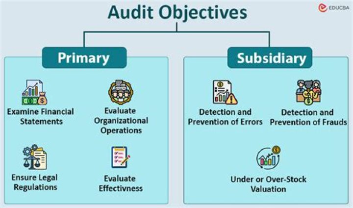 What are the main audit objectives?