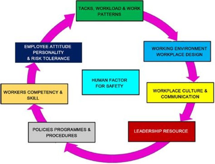 What are the main factors of management?