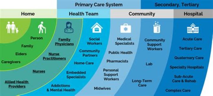 What are the main services provided within primary care?
