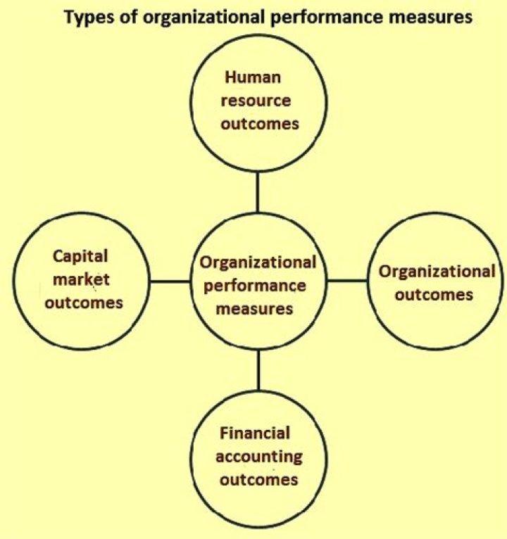 What are the measures of organizational performance?