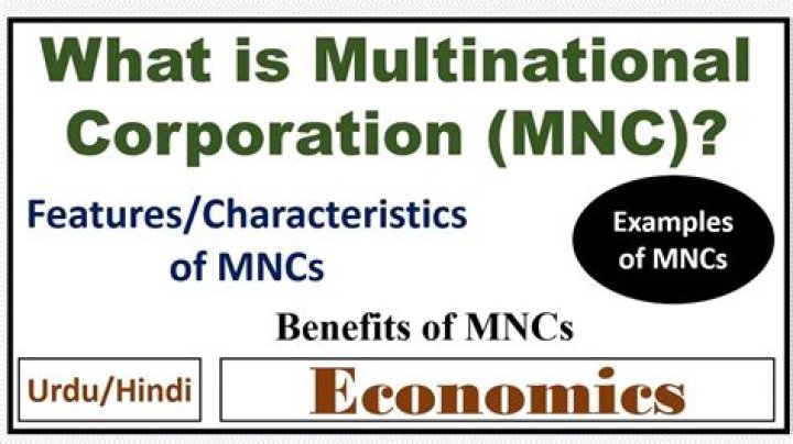 What are the merits and demerits of multinational corporation?
