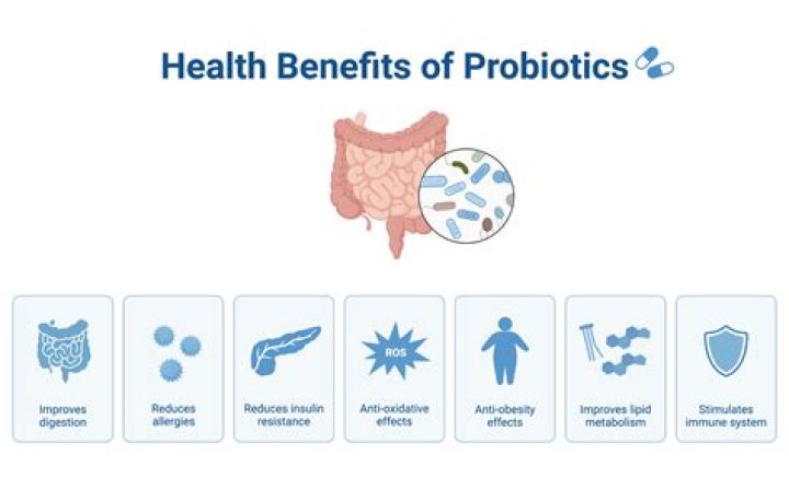 What are the negatives of taking probiotics?