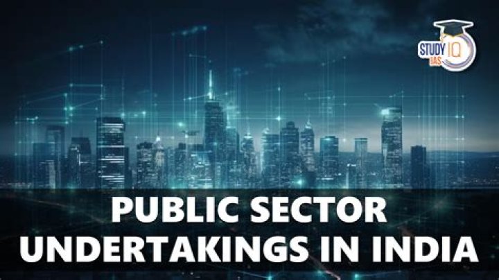 What are the objectives of public sector undertakings?