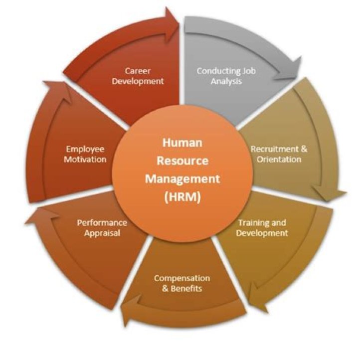 What are the opportunities of human resource management?