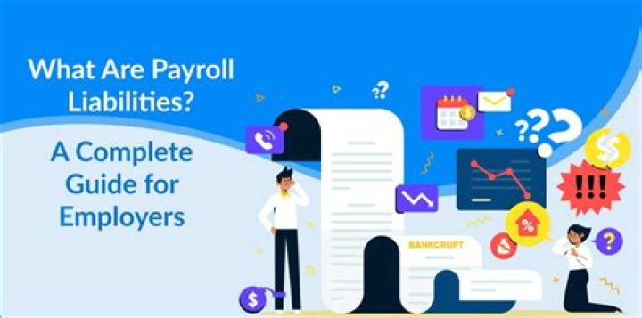What are the payroll liabilities?