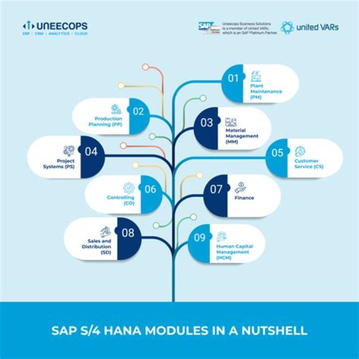 What are the popular modules in an ERP system?