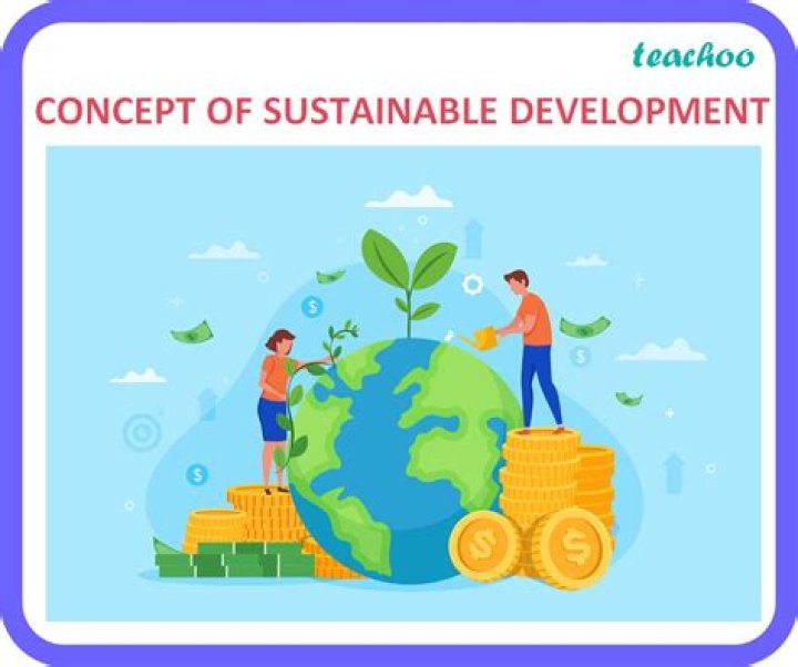 What are the problems with sustainable development class 10?