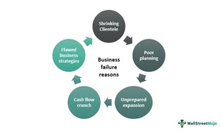 What are the reasons for the failure of business plan?