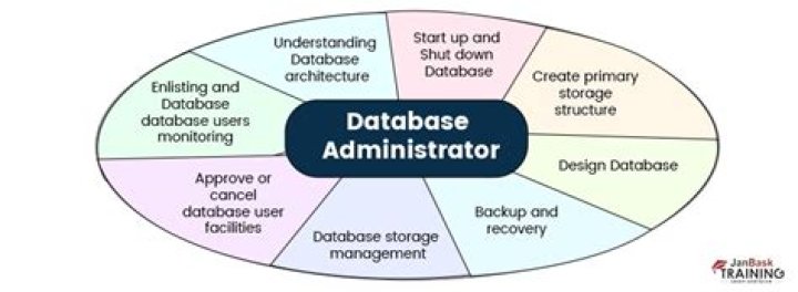 What are the responsibilities of a database administrator?