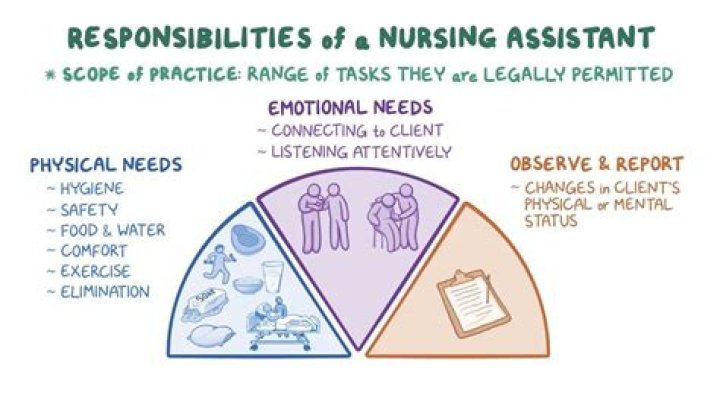 What are the responsibilities of a nursing home?
