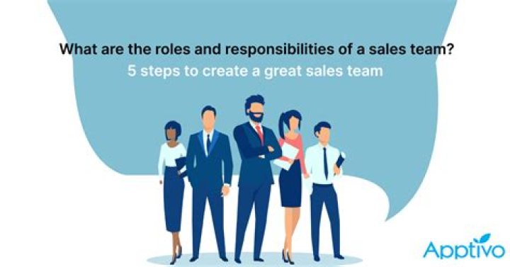 What are the roles of a sales executive?