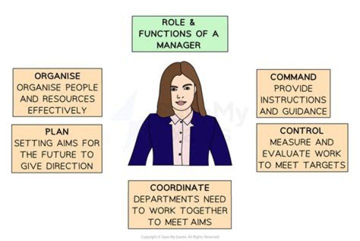 What are the roles of managers in an organization?