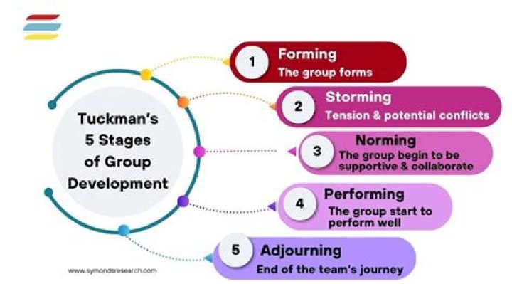 What are the stages of group development?