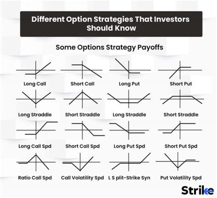 What are the strategies for expansion and growth?