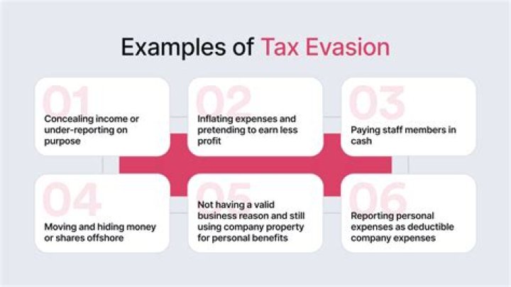 What are the tax evasion activities?