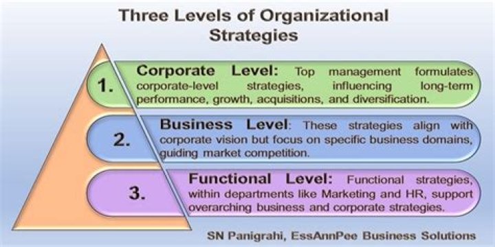 What are the three levels of planning in management at a large Organisation?