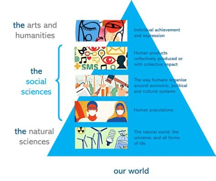 What are the three major disciplines?