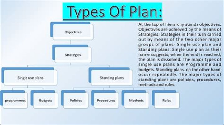 What are the three types of standing plans?