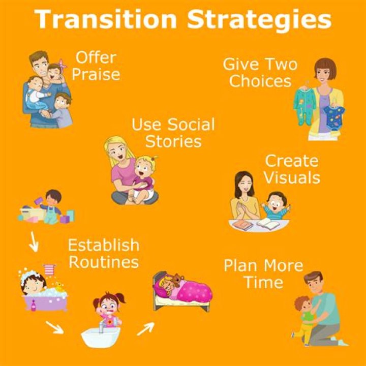What are the transition strategies?