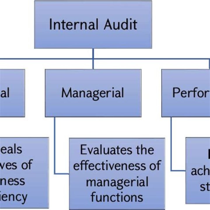 What are the types of audit findings?