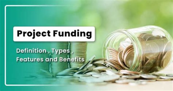 What are the types of project finance?