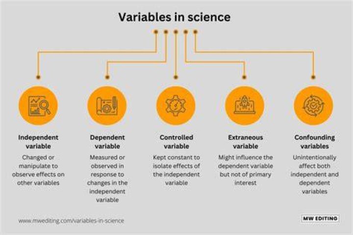 What are the variables in the market environment?