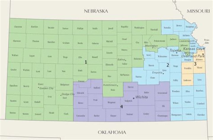 What are the voting districts in South Dakota?